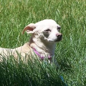 Meet your Posher, Stacey